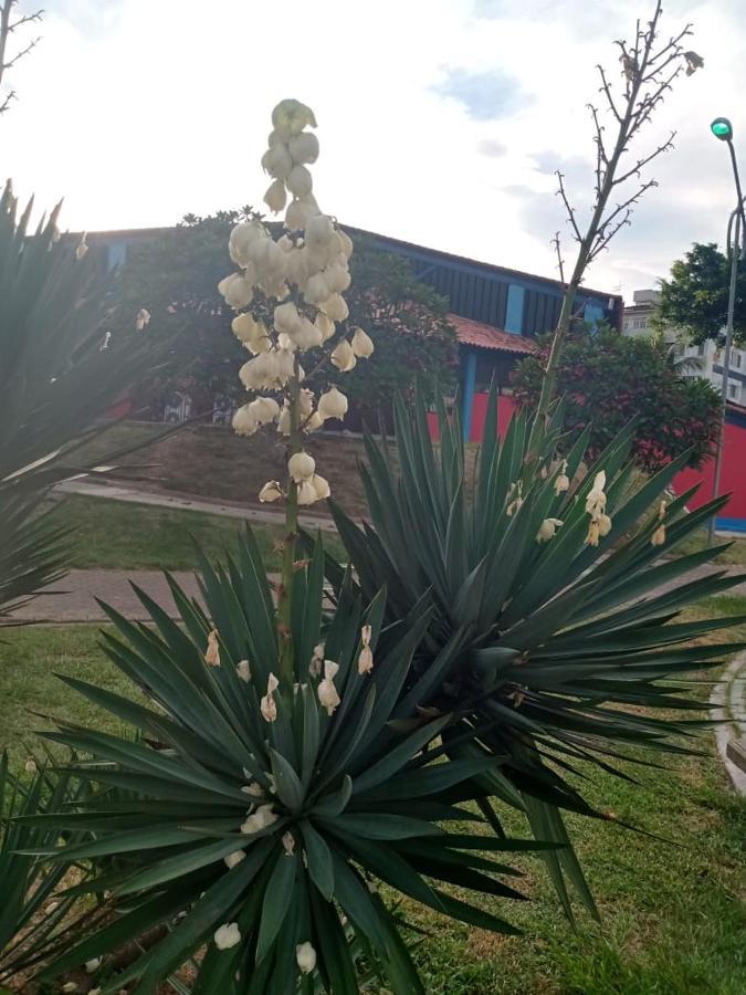Apartamento Mob à 5 minutos da Praia do Forte dois quartos Cabo Frio Exterior foto